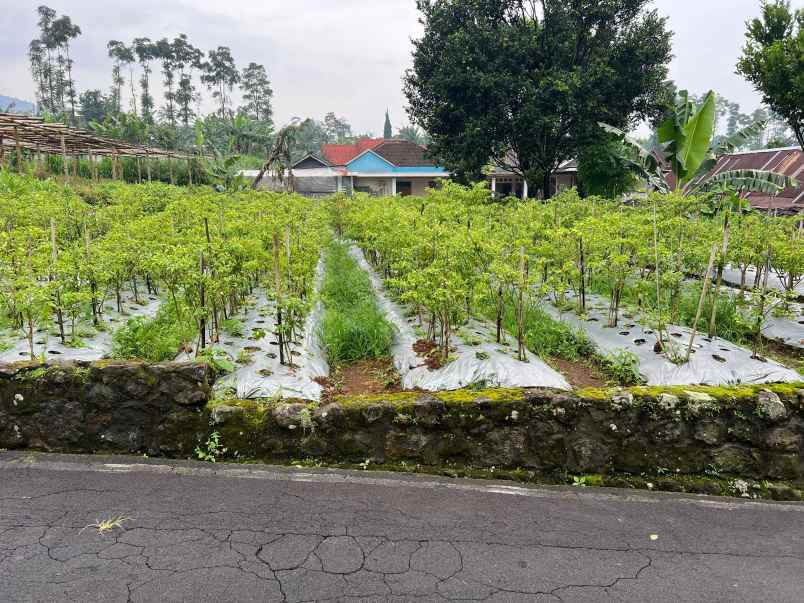 tanah kawasan wisata 400m2 kemuning karanganyar