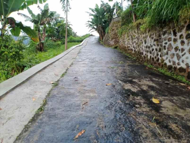 tanah kemuning ngargoyoso