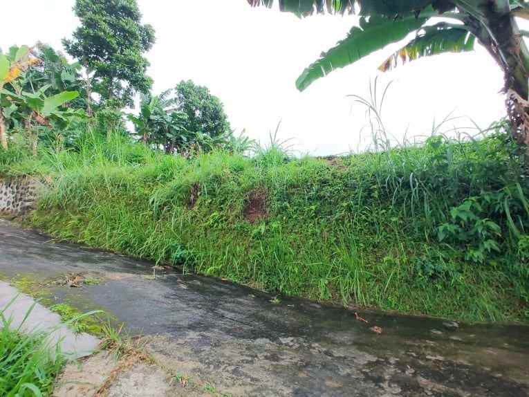 tanah kemuning ngargoyoso