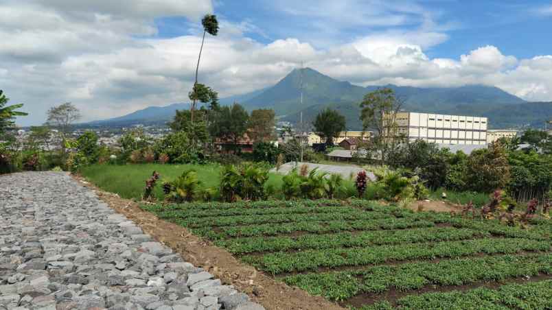 tanah luas super murah view pegunungan kota batu
