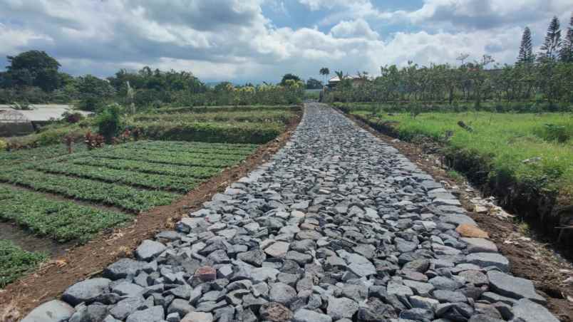 tanah luas super murah view pegunungan kota batu