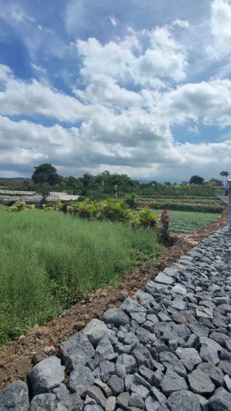 tanah luas super murah view pegunungan kota batu