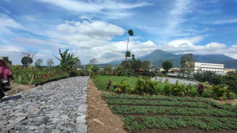 tanah luas super murah view pegunungan kota batu