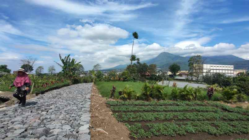 tanah luas super murah view pegunungan kota batu