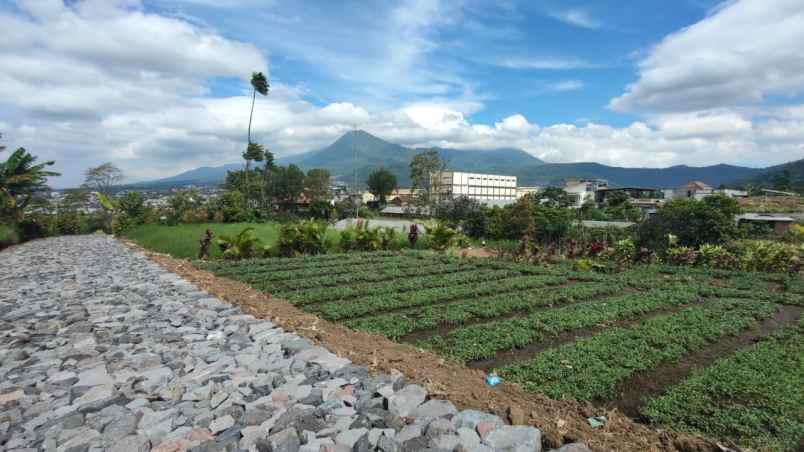 tanah luas super murah view pegunungan kota batu