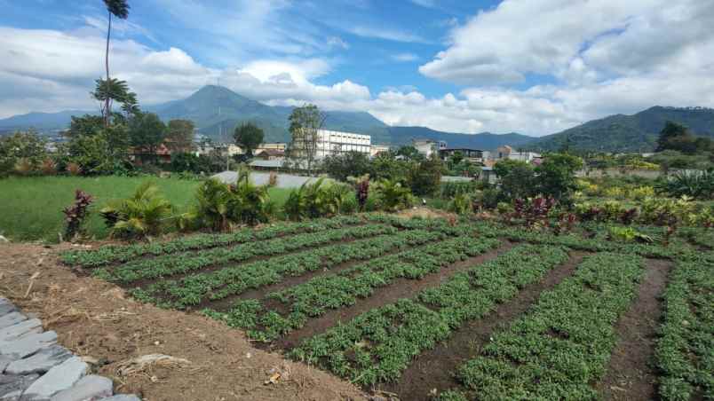 tanah luas super murah view pegunungan kota batu