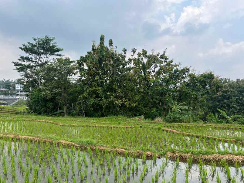 tanah murah 911m 75 juta karanganyar solo