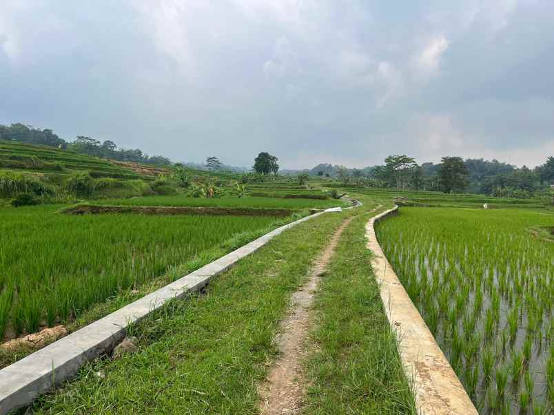 tanah murah 911m 75 juta karanganyar solo