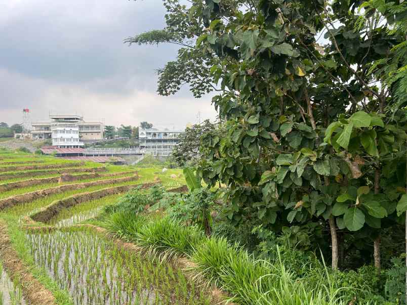 tanah murah 911m 75 juta karanganyar solo