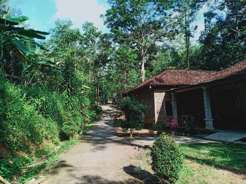 tanah ngargoyoso karanganyar