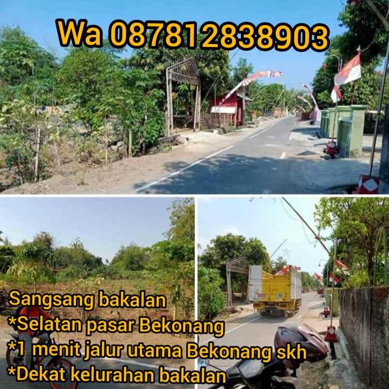 tanah sangsang bakalan polokarto