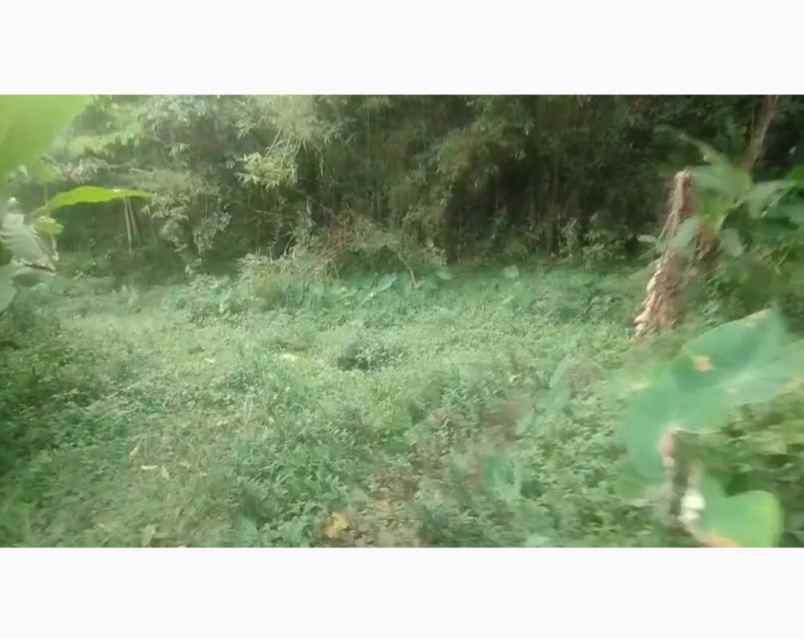 tanah sumurejo gunungpati semarang