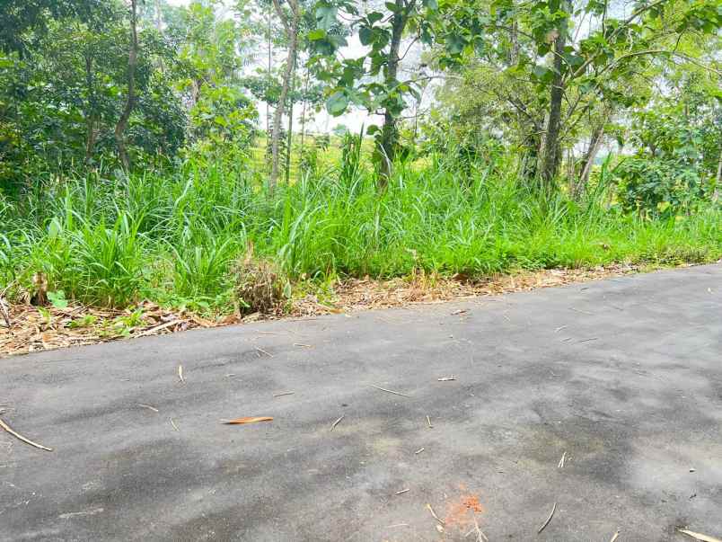 tanah super datar siap untuk rumah tinggal