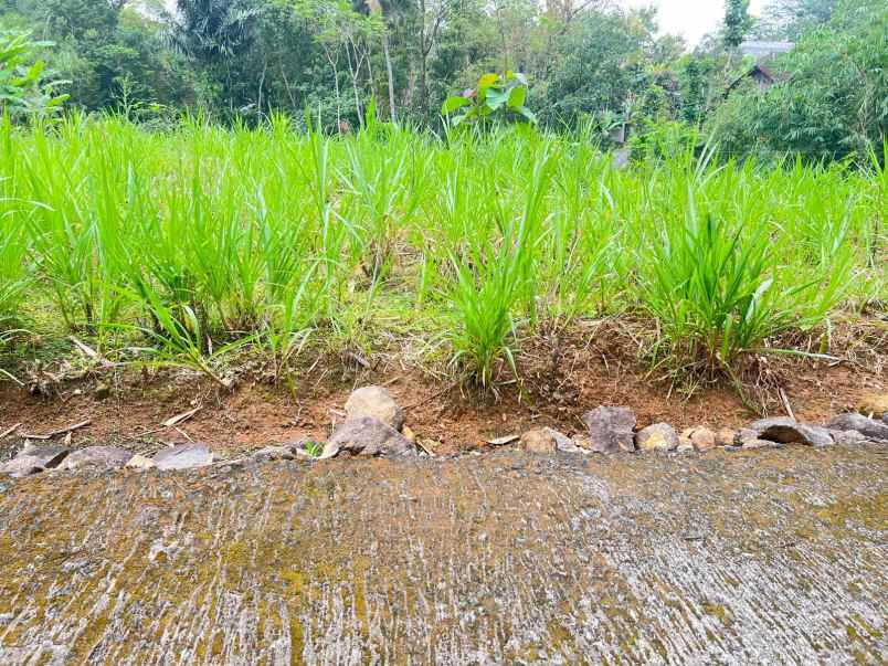 tanah super datar siap untuk rumah tinggal