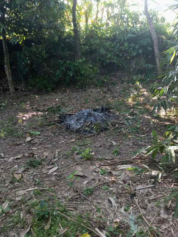 yellow zone land only 5 minutes to empathy school bali