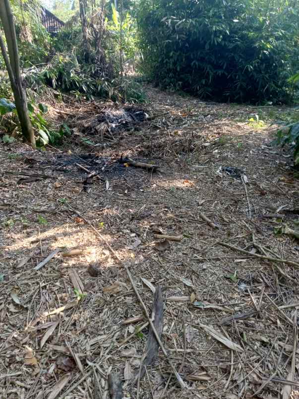 yellow zone land only 5 minutes to empathy school bali