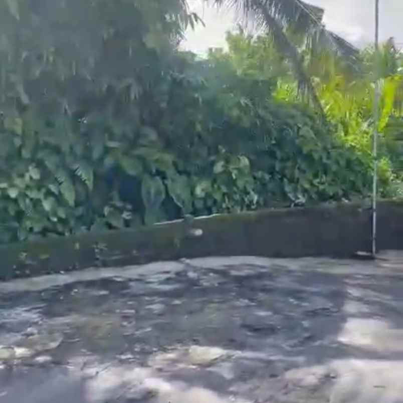 dijual 14 are jl meduri sibangkaja abiansemal badung