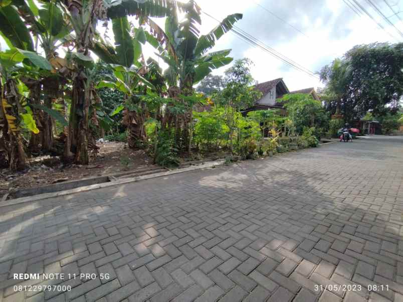 dijual cepat tanah shm pekarangan di palagan