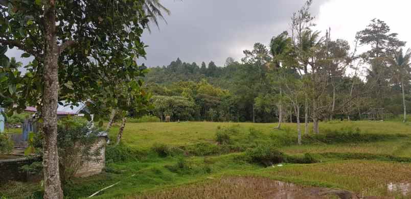 dijual lahan komersial strategis di alahan panjang