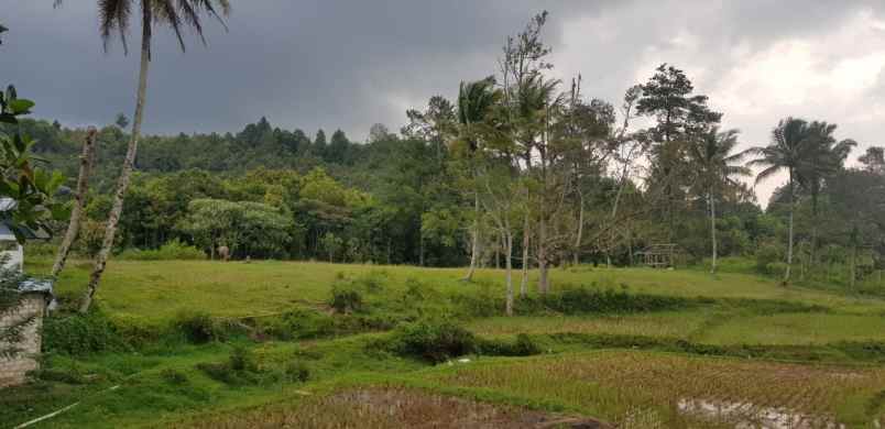 dijual lahan komersial strategis di alahan panjang