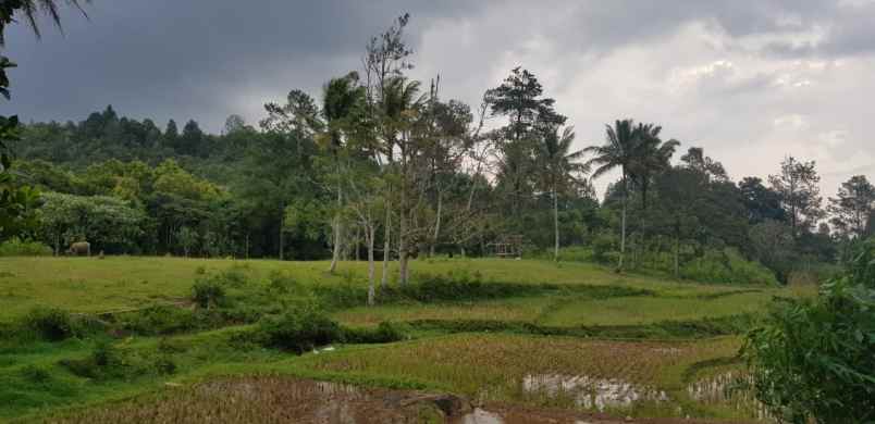 dijual lahan komersial strategis di alahan panjang