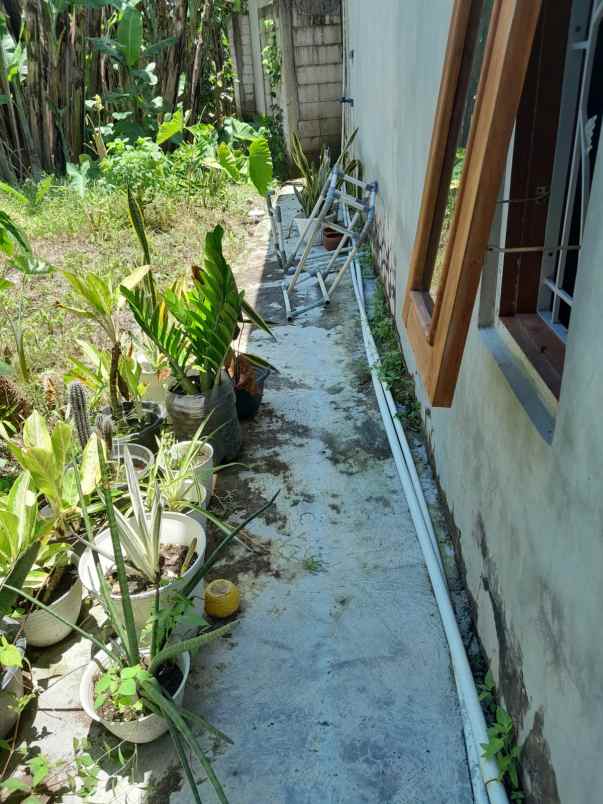 dijual rumah bangunjiwo