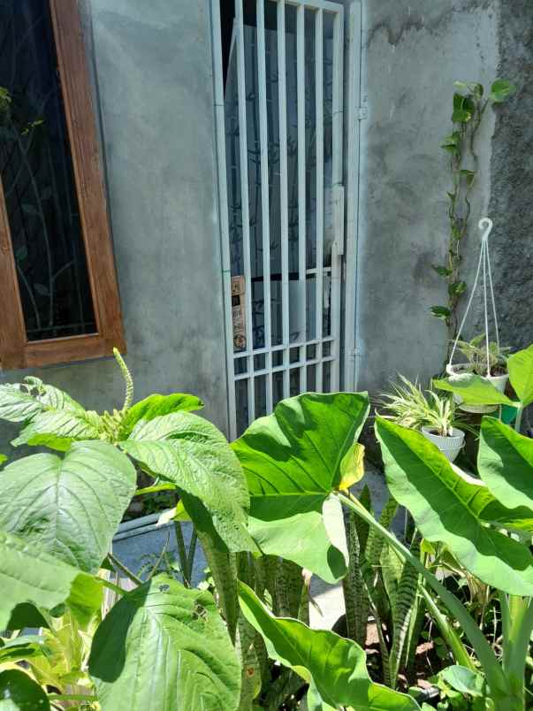 dijual rumah bangunjiwo