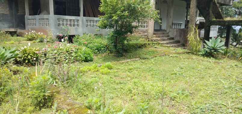 dijual rumah cipanas
