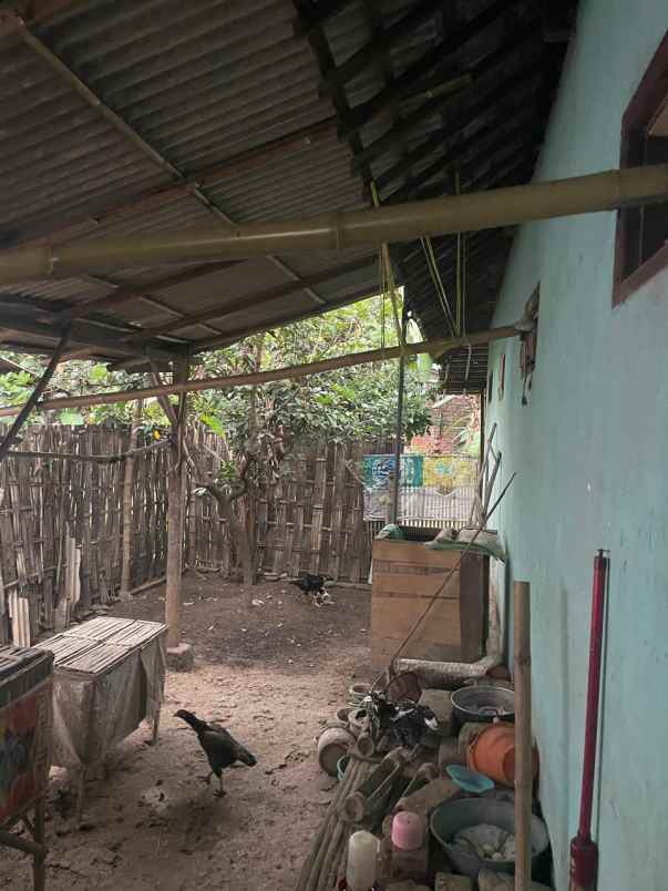 dijual rumah dijual rumah di rt 03 rw