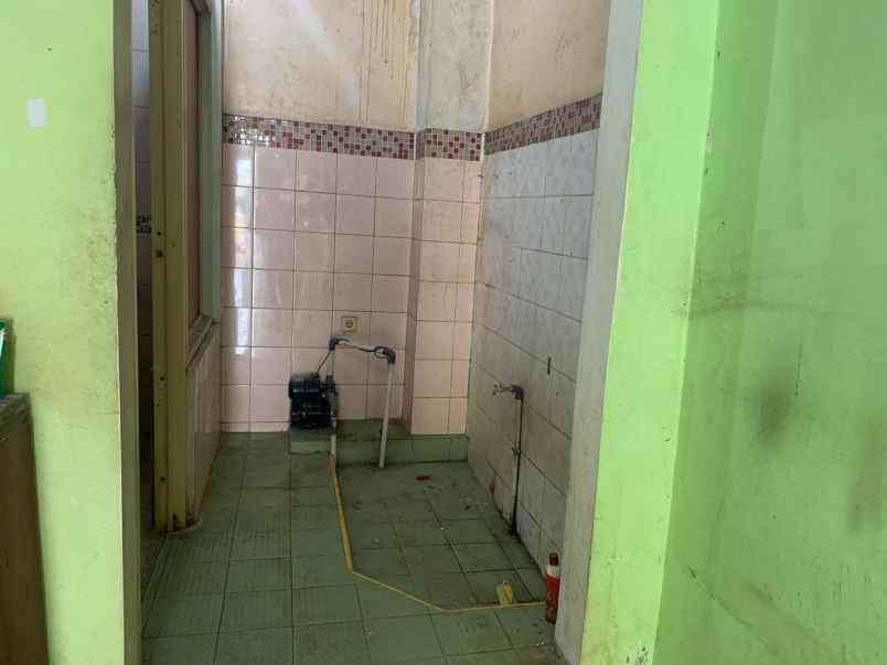 dijual rumah kelapa kopyor kelapa gading