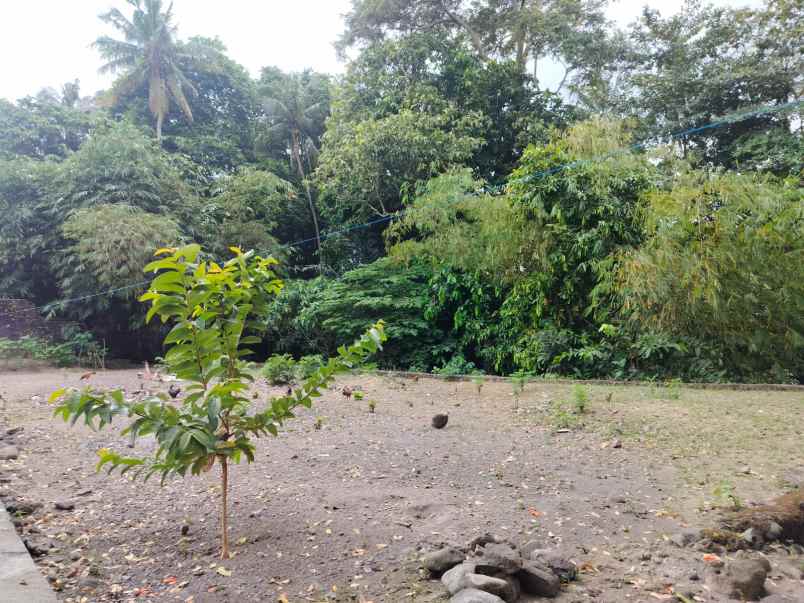 dijual rumah sukoharjo