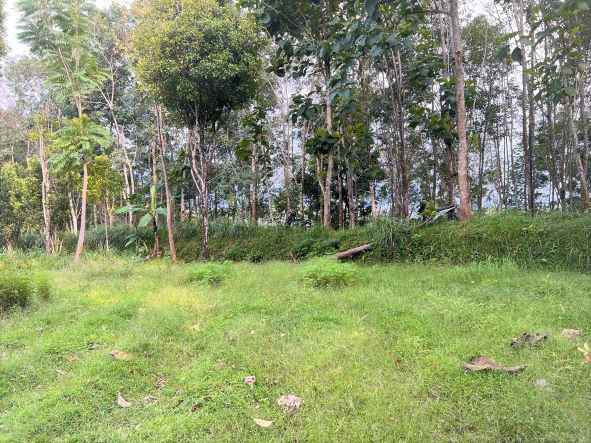 dijual tanah 2000m ngargoyoso karanganyar