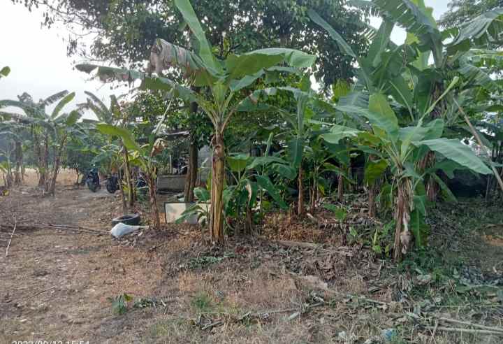 dijual tanah 6875 m2 setu bekasi