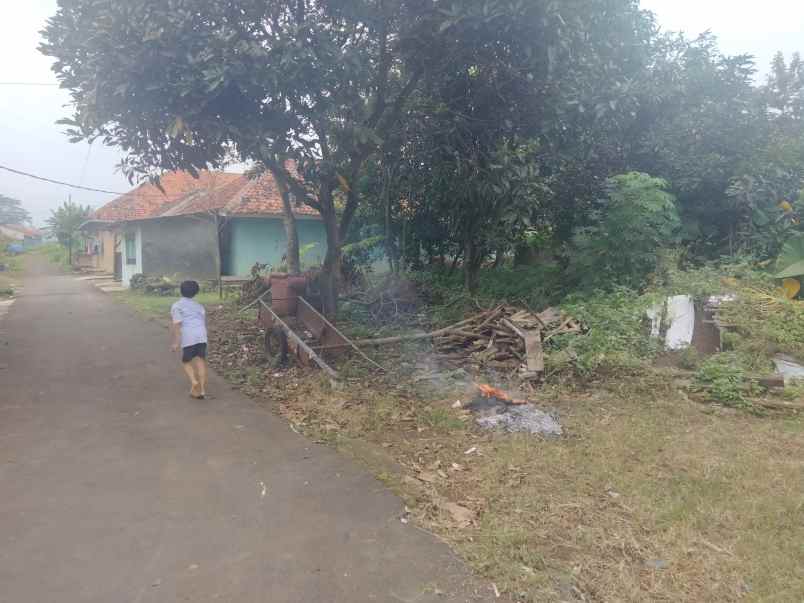 dijual tanah akses jl mobil cocok buat rumaj