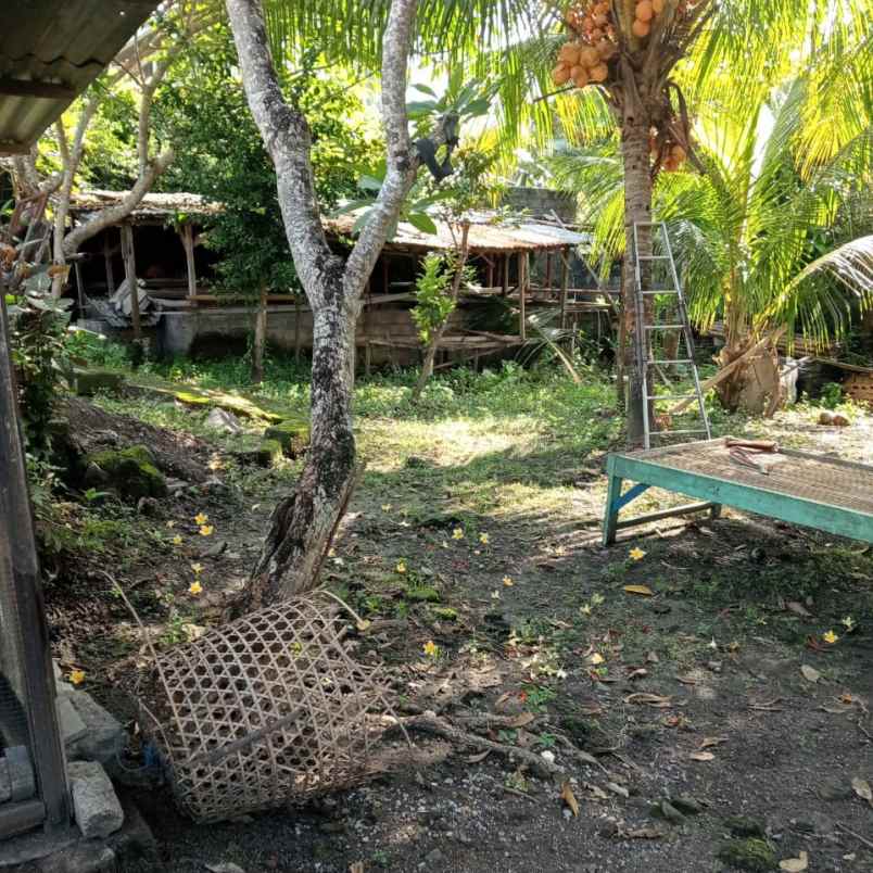 dijual tanah babakan canggu