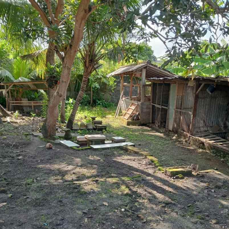 dijual tanah babakan canggu