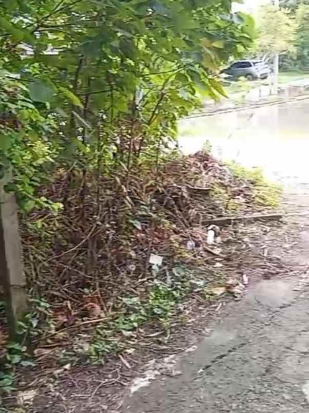 dijual tanah babakan canggu