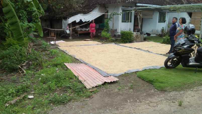 dijual tanah bambanglipuro bantul