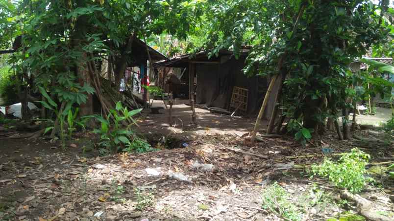 dijual tanah bambanglipuro bantul