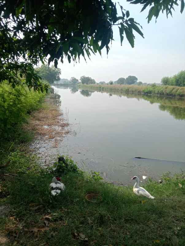 dijual tanah bangunsari