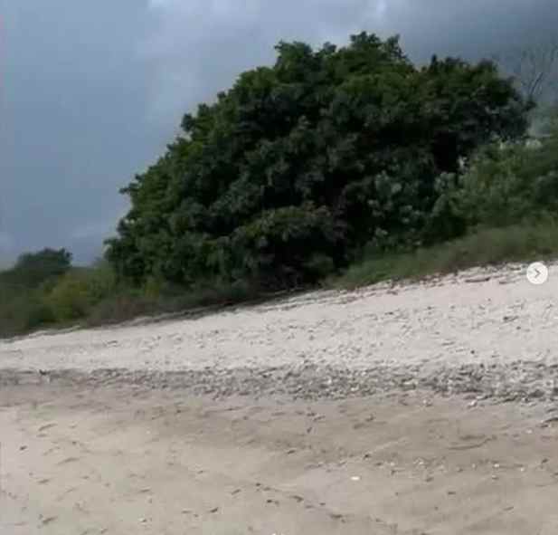 dijual tanah bima sumbawa ntb