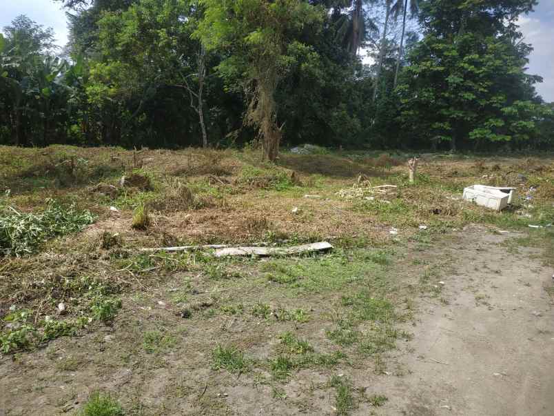 dijual tanah blotan wedomartani