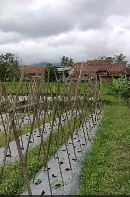 dijual tanah bojonglo gok parakansalak