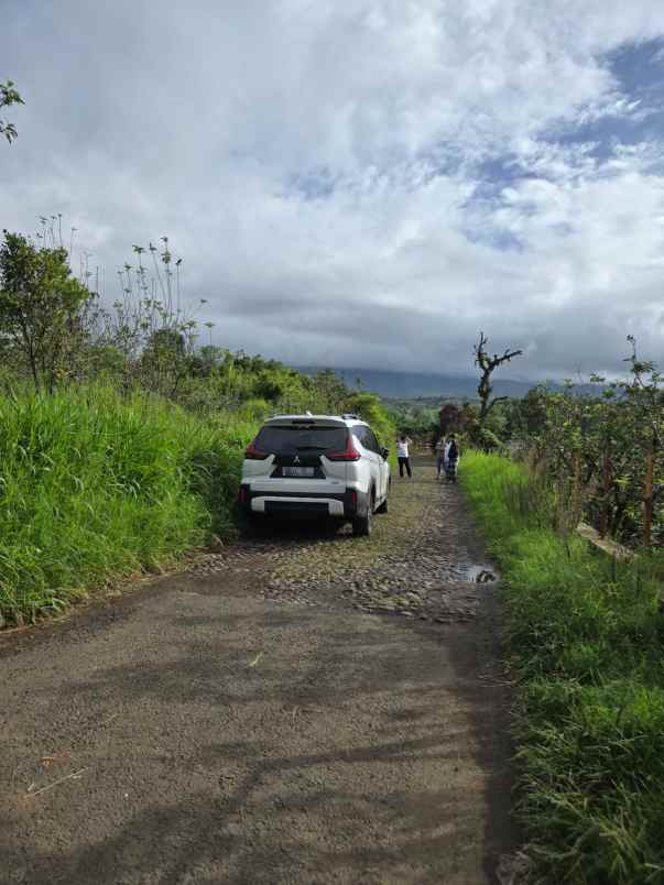 dijual tanah bulukerto