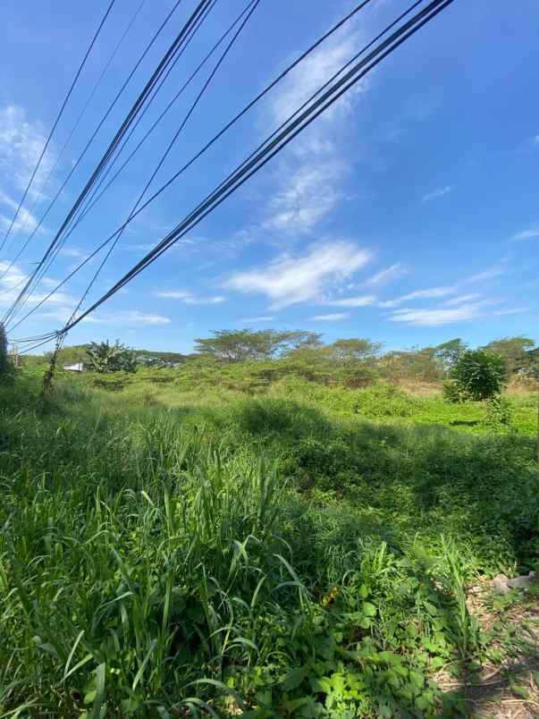 dijual tanah citraland