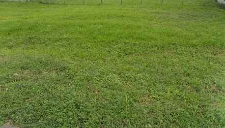 dijual tanah citraland northwest park