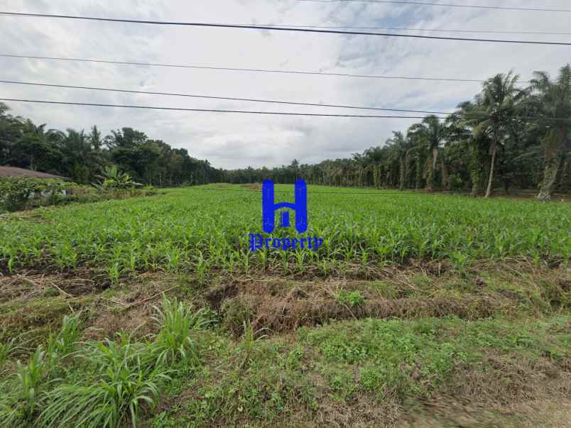 dijual tanah daerah sei mincirim jl smk