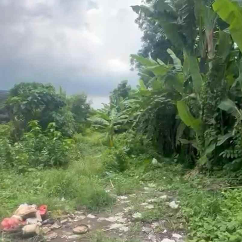 dijual tanah dalung permai