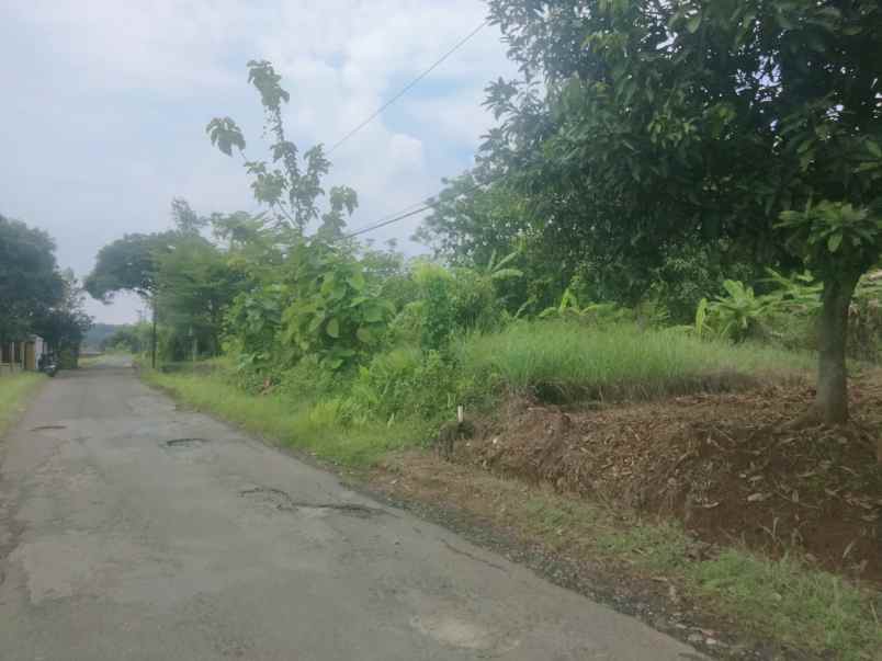 dijual tanah darat pinggir jalan raya sarwadadi