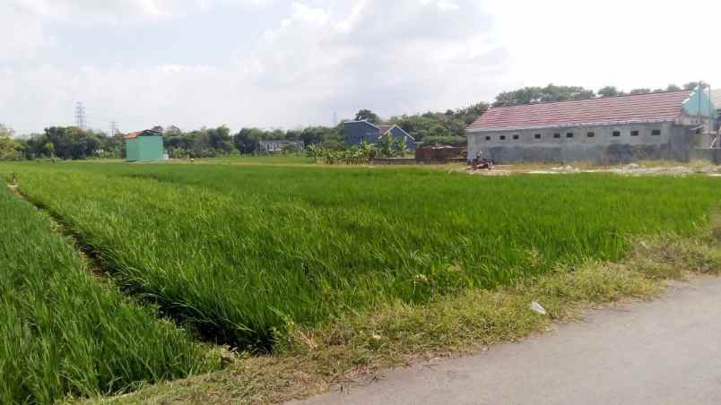 dijual tanah dekat itb arjawinangun